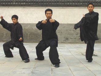 Chen Zijun, Chen Bing, Chen Ziqiang