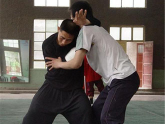 Tui Shou (Chen Ziqiang)