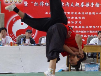 Turniej Tui Shou w Wenxian