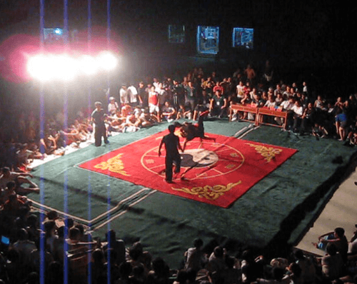 Jedna z walk w formule Taiji Sanshou odbywających się na leitai