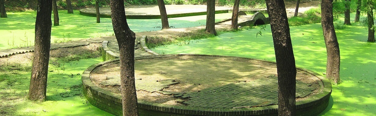 Szczeciński Klub Taijiquan